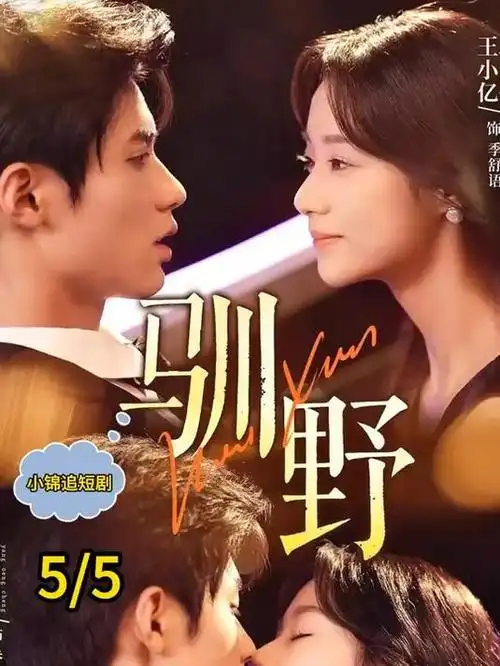 军婚宠文《他的肩章我的姓》封面
